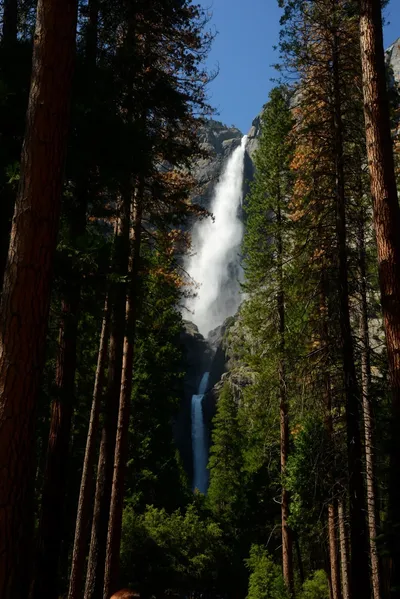 DSC_2398 (Large).JPG